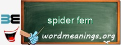 WordMeaning blackboard for spider fern